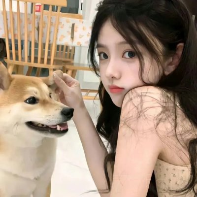 渣男前夫为何跪地求饶