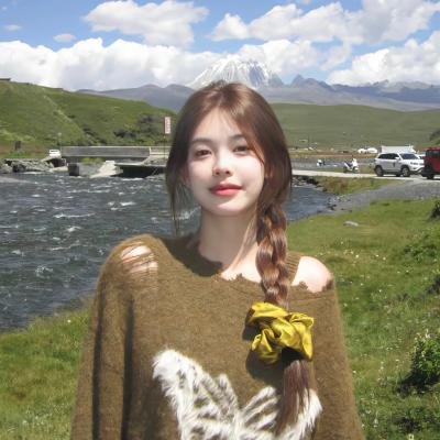 天才侦探御手洗：难解事件档案之折伞的女人